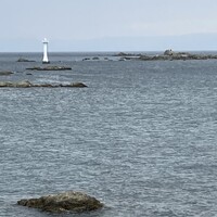 レストラン ラ・マーレ - 