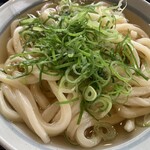 うつ海うどん - 