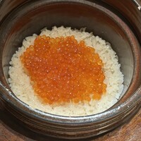 肉和食 月火水木金土日 - 