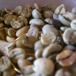 三和珈琲館 - 取り除かれた豆