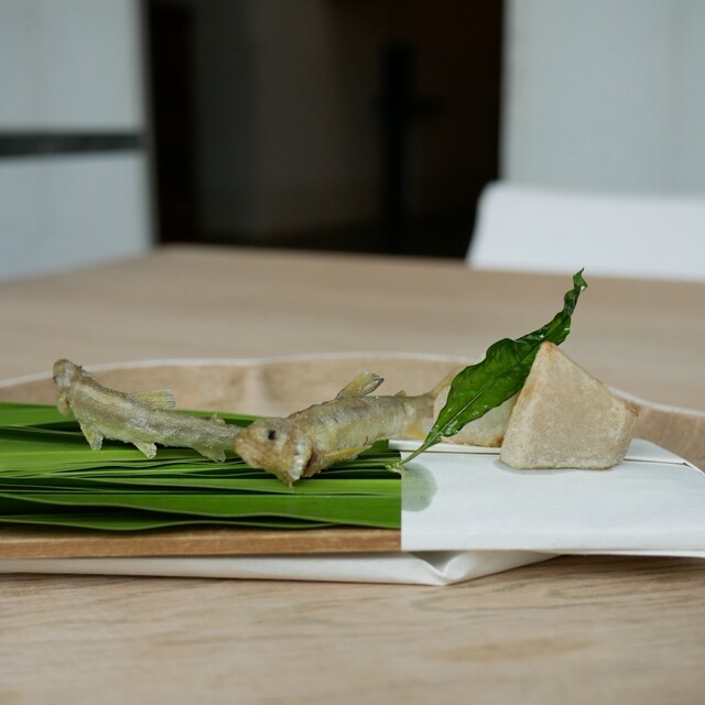 Yakumo Saryo photo 2