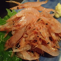 日本橋 やぶ久 - 桜えびの刺身