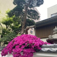 菊水 桜町本店 - 