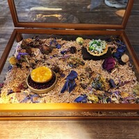 yokoyama - 