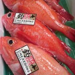 魚将 - 