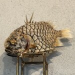 カイズ キッチン - 