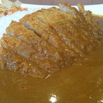 かつカレー　ルーとのバランスが絶妙