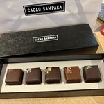 カカオサンパカ - 