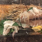 廻鮮寿司しまなみ  曙店 - 