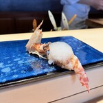 鮨 蒼天 - 車海老