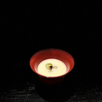 新ばし 星野 - 