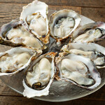 馬肉と牡蠣の創作バル motto. - 