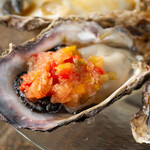 馬肉と牡蠣の創作バル motto. - 