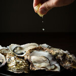 馬肉と牡蠣の創作バル motto. - 