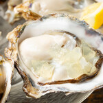 馬肉と牡蠣の創作バル motto. - 