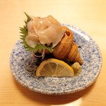 弁慶 - 料理写真:八戸前沖産真ツブ貝刺
