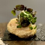 プレゼンテ スギ - 杉寿司TYPE-R