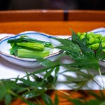 よし町 - 2025.5 わかば屋さんナルコユリ ゆずもファーム産うすい豆