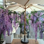 HAUTE COUTURE CAFE OMOTESANDO - 