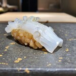 鮨 琥珀 - コウイカ