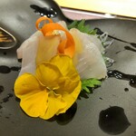 鮨 琥珀 - スズキのお造り