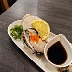 大衆小料理 達磨酒場 有楽町店 - 