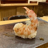 鮨 いとう - 車海老 昆布締め