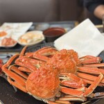大江戸温泉物語Premium 伊勢志摩 - 