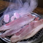 本格焼肉チファジャ - 