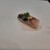 博多 驛の鮨 - 料理写真: