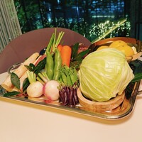 Plaiga TOKYO - 