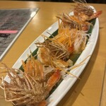 Barbe - 天使のエビ