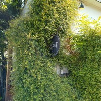 KOST - 