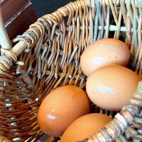 日本料理 華暦 - 