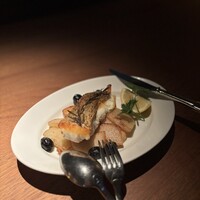 CICADA - 