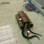 海の幸 魚長 - 店内の生簀