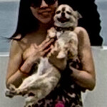 ガーブ コスタ オレンジ - 