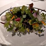 レフェルヴェソンス - 