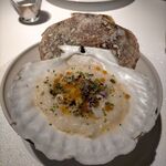 レフェルヴェソンス - 