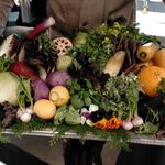 レフェルヴェソンス - 