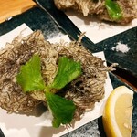 Natsu to Umi to Taiyo to NAMIOTO - 