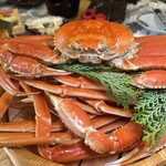 すし酒場 FUJIYAMA TOKYO - 