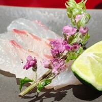 鮨白 - 瀬戸内の真鯛の造り②