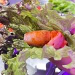 ネオン空間 韓国料理 チーズ 食べ放題 ソルチカ - 