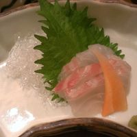梅の花 横浜スカイビル店 - 季節のお造り