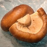 焼肉ホルモン はねいし - 