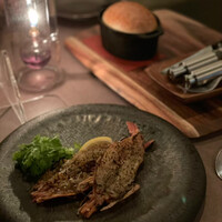 スミレオオサカ - 