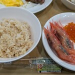 レストラン ハレル - 