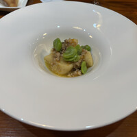 VENISON by TERRA - 