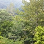 奥入瀬渓流ホテル - 緑　みどりで満腹♪